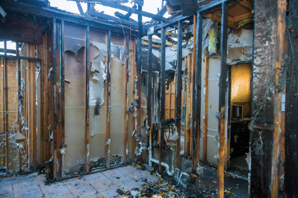 Professional Fire Damage Cleanup technician working in Cleveland, WI